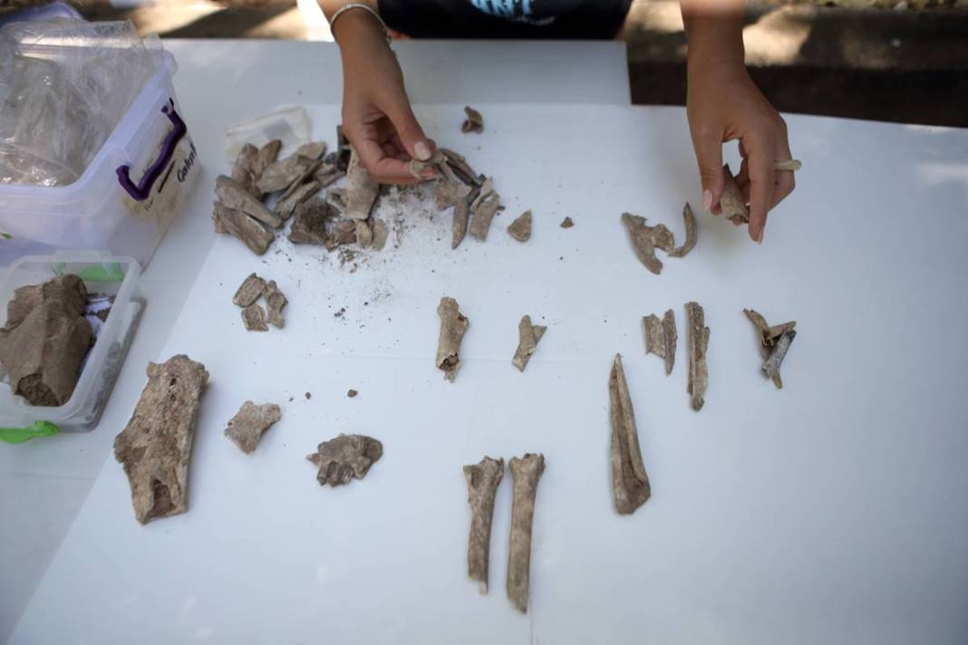 Çorum'da ilginç kazı! Hititler neler yiyormuş öyle... Kaplumbağadan domuza... 3